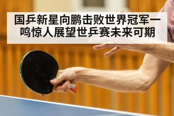 国乒新星向鹏击败世界冠军一鸣惊人展望世乒赛未来可期